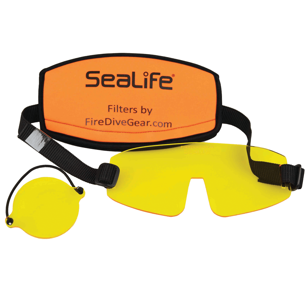 Sea Dragon Fluoro-Dual Beam