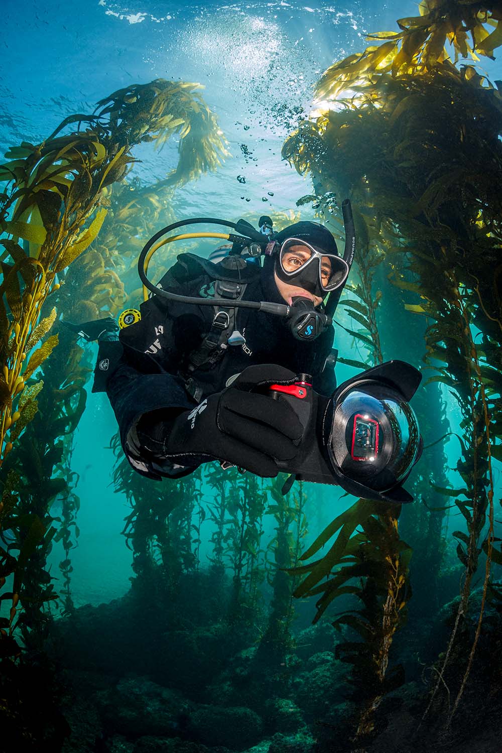 Sealife Camera