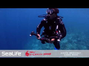 Sea Dragon 2300F Video Light