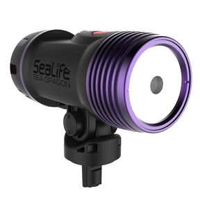 Sea Dragon Fluoro-Dual Beam